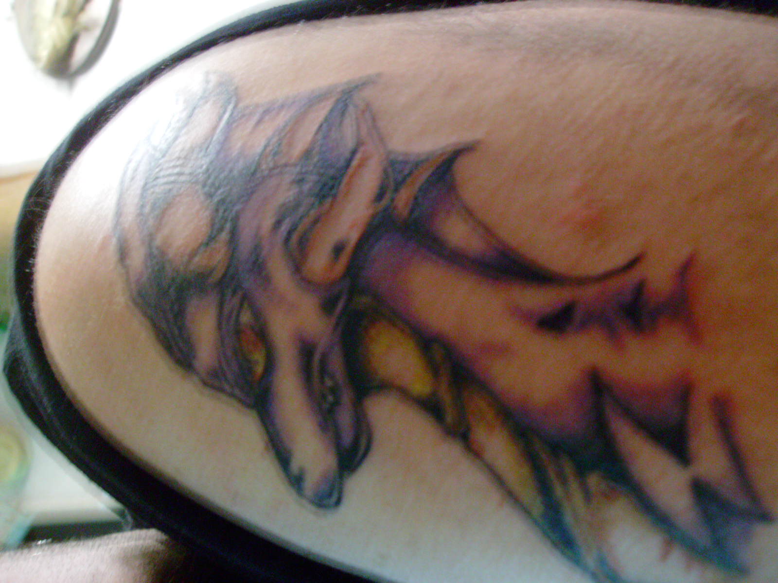 Ychan - rl - spyro tattoo i got - 100168