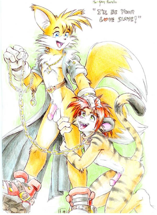 Ychan - g - sotainux (sonic tails and knuckles) - 10050