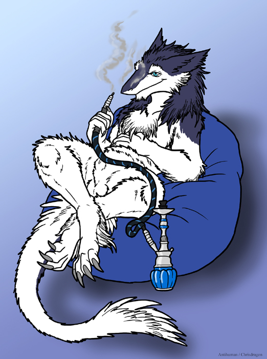 Ychan - c - sergals - 102866