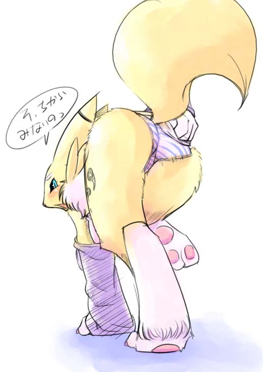 Ychan - r - renamon cant find the source of this one - 104348