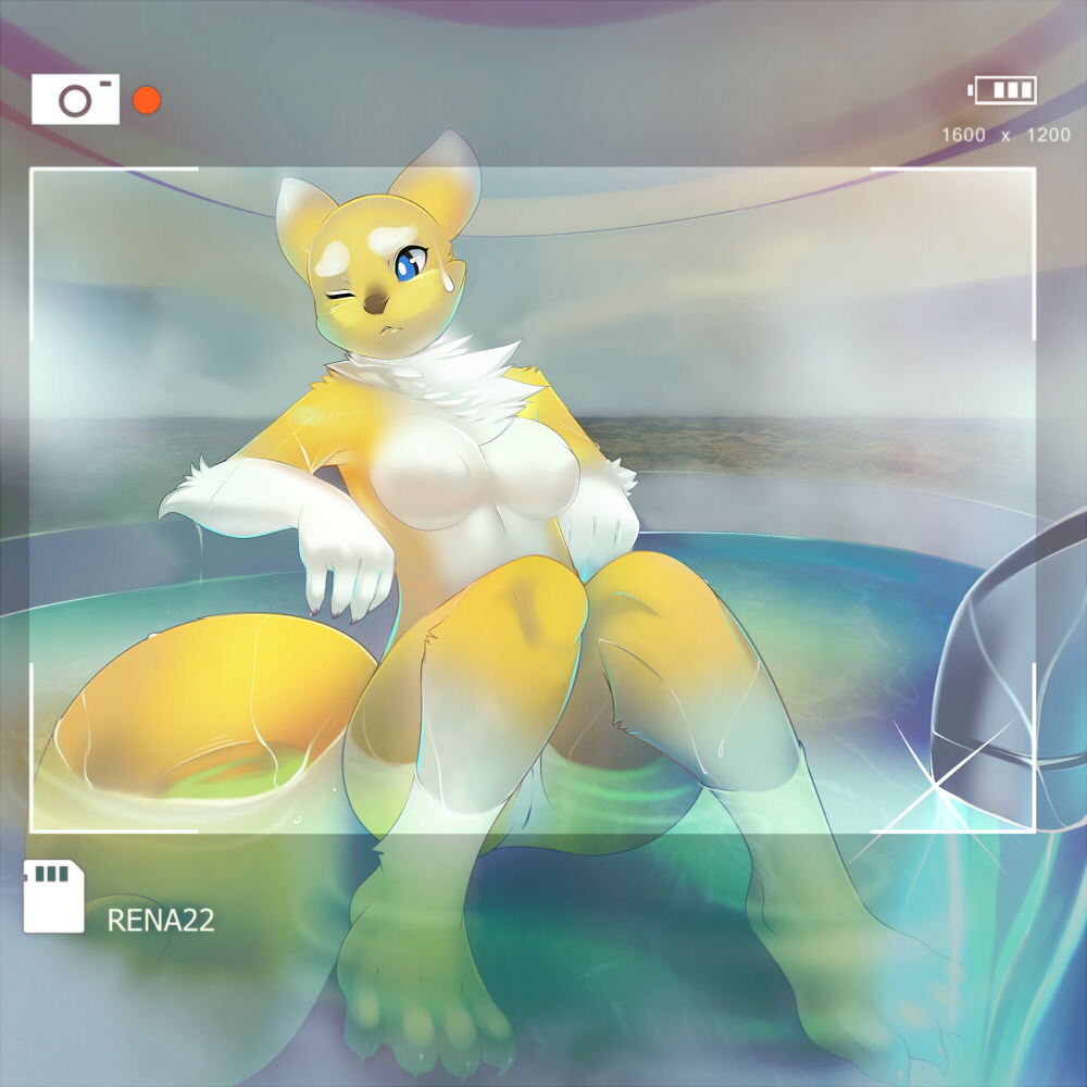 Ychan - r - renamon cant find the source of this one - 106008