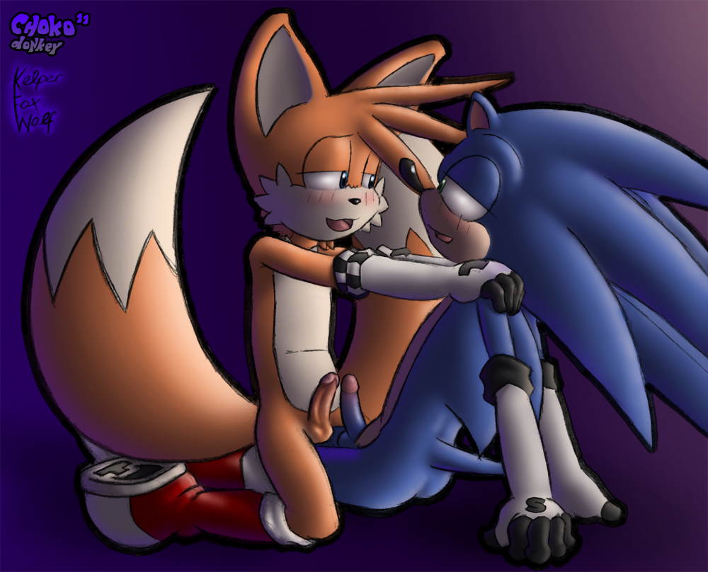 Ychan - g - sonic and (very good) friends - sonic