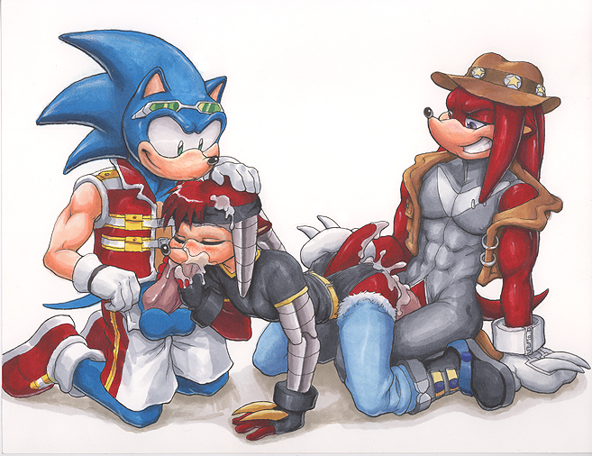 Ychan - g - sonic and (very good) friends - sonic