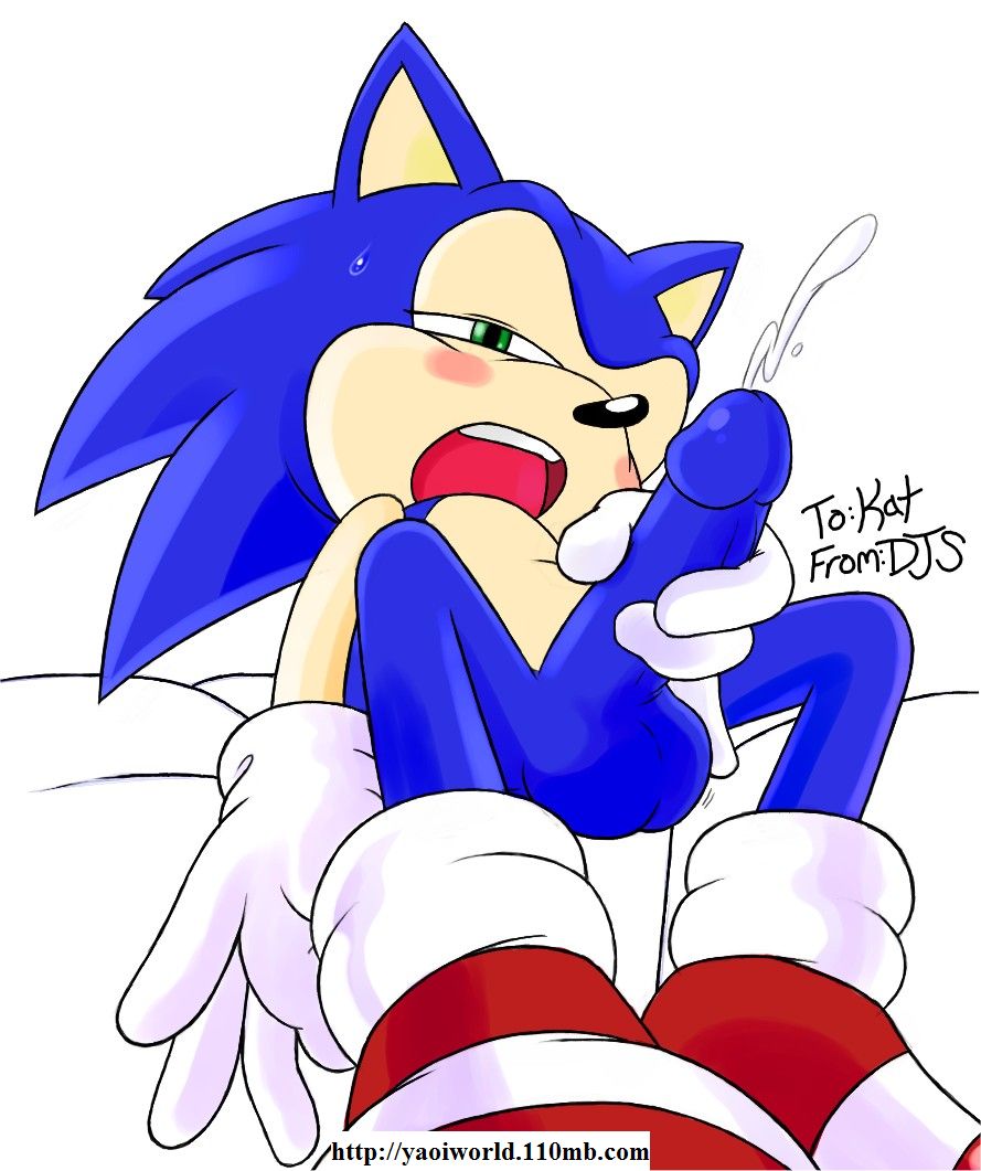Ychan - g - sonic and (very good) friends - sonic