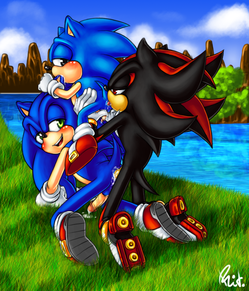 Ychan - g - sonic and (very good) friends - sonic