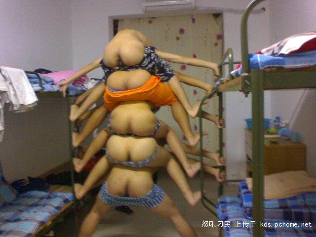 Ychan - ot - funny pictures - 111764