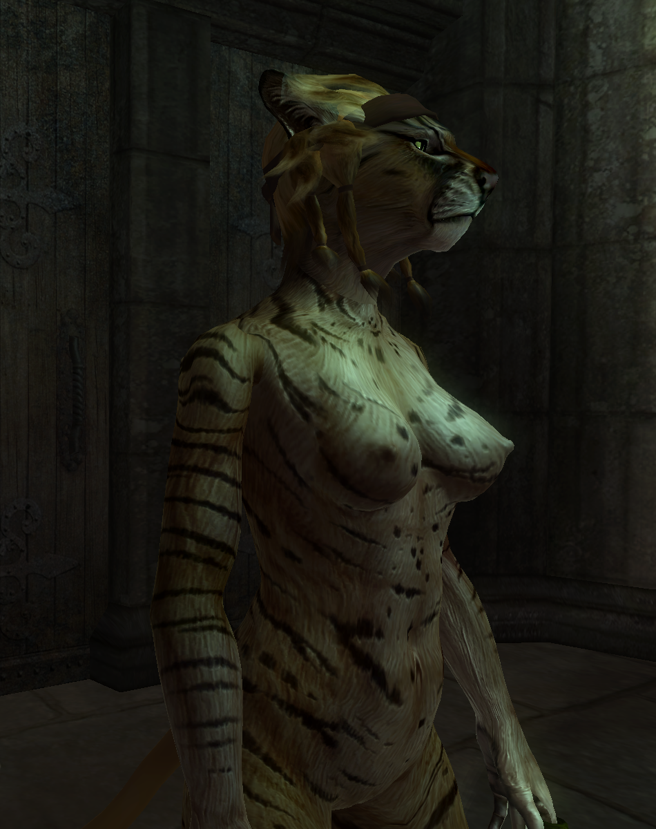 Ychan - f - oblivion furries - khajiit and argonian screenies-art - Oblivion Furries - Khajiit & Argonian screenies/art