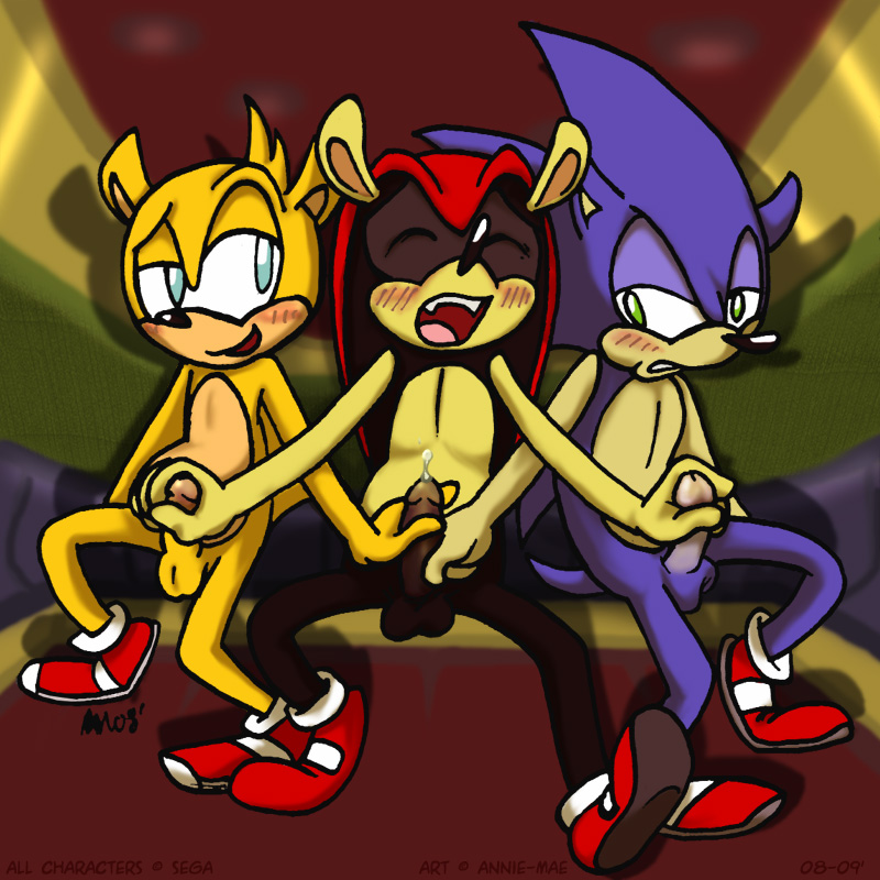 Ychan - g - sonic and (very good) friends - sonic