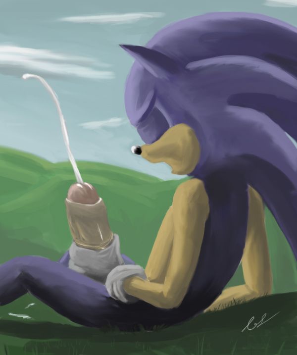 Ychan - g - sonic and (very good) friends - sonic