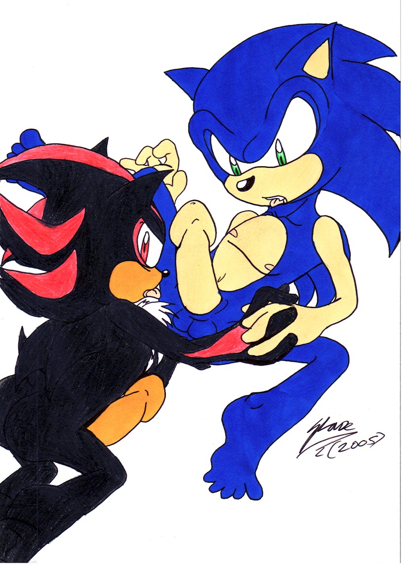 Ychan - g - sonic and (very good) friends - sonic