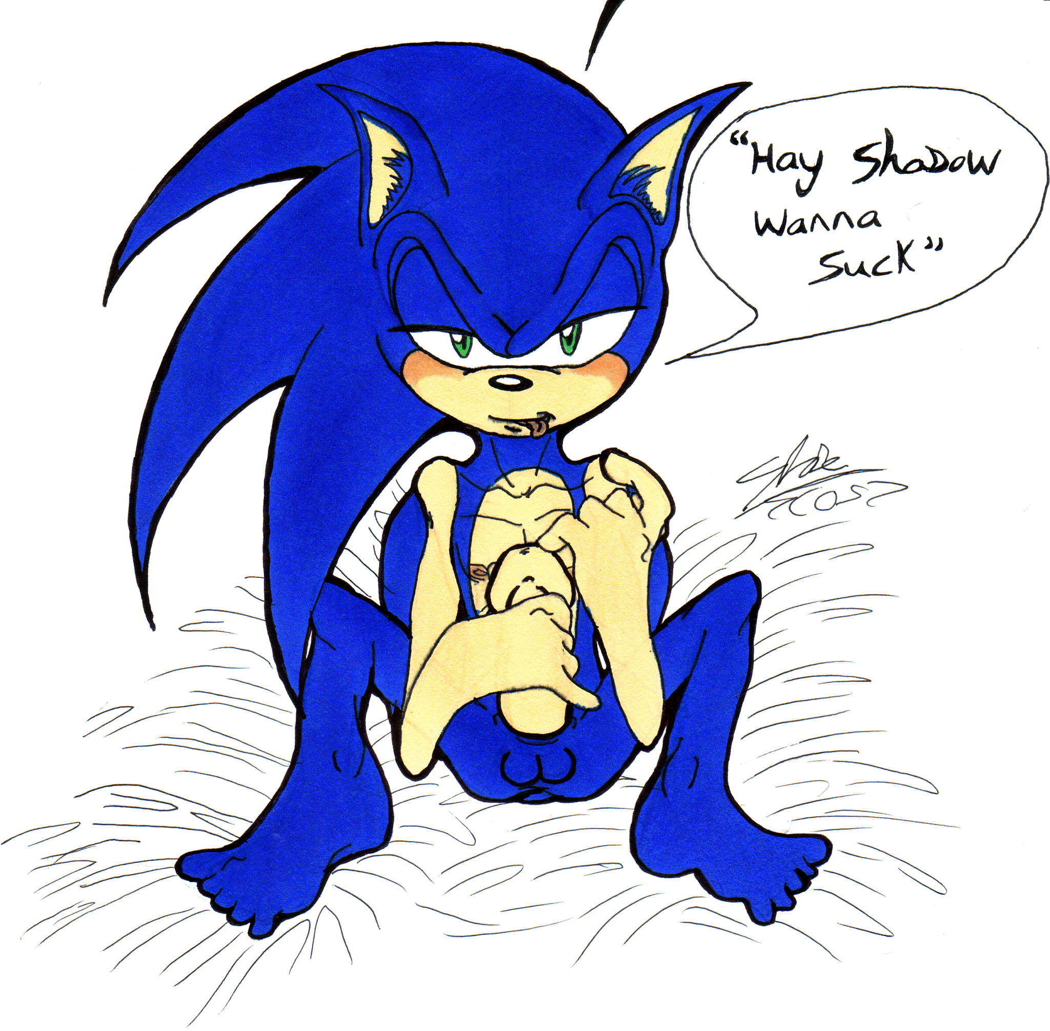 Ychan - g - sonic and (very good) friends - sonic