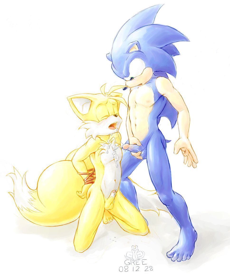 Ychan - g - sonic and (very good) friends - sonic