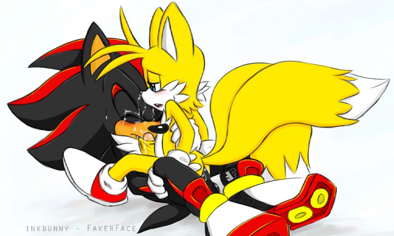 Ychan - g - sonic and (very good) friends - sonic