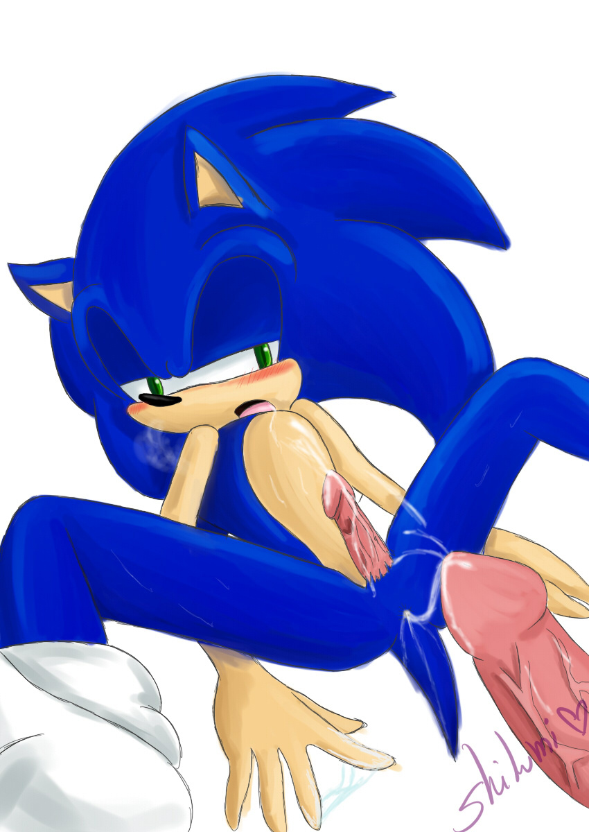 Ychan - g - sonic and (very good) friends - sonic