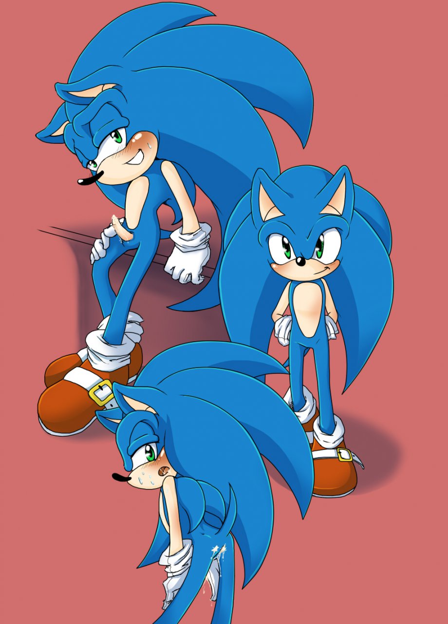Ychan/g/sonic and (very good) friends/sonic.