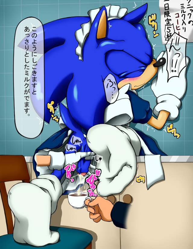 Ychan - g - sonic and (very good) friends - sonic