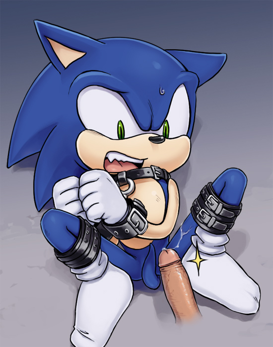 Ychan - g - sonic and (very good) friends - sonic