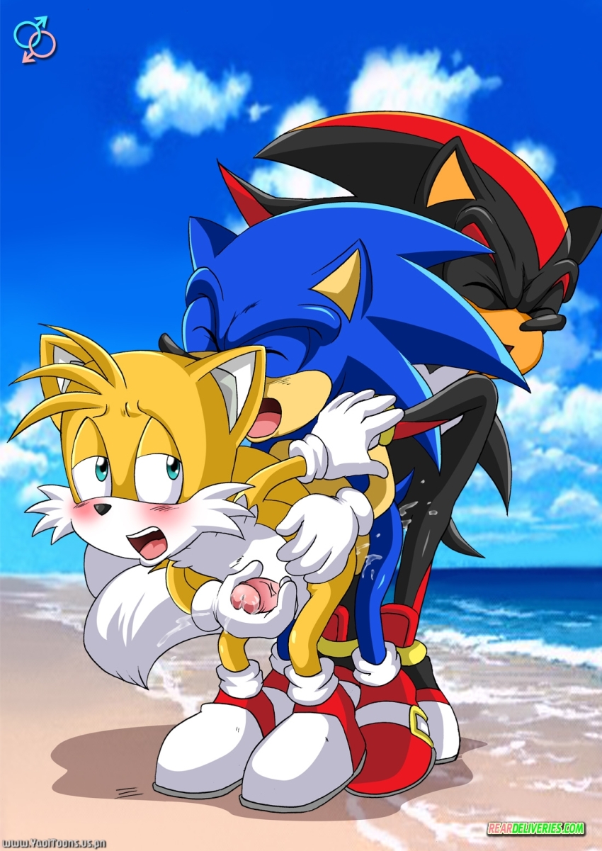 Ychan - g - sonic and (very good) friends - sonic