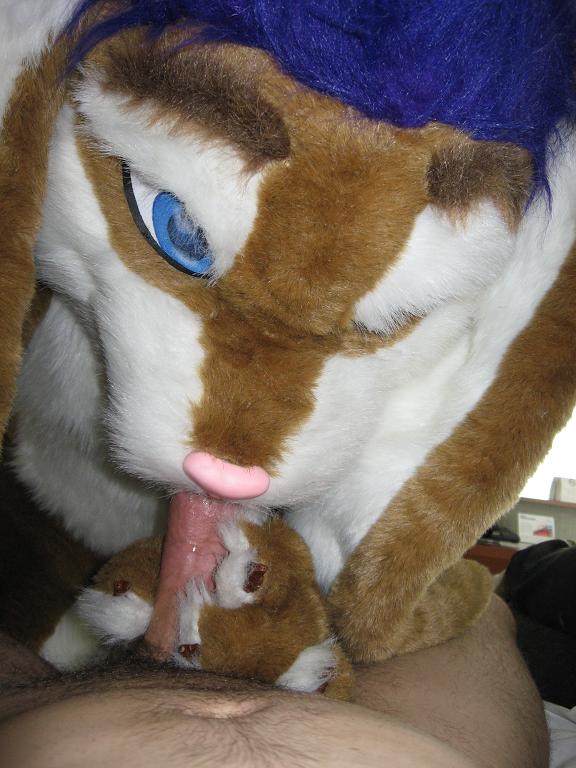 human, fursuit, oral, blowjob.