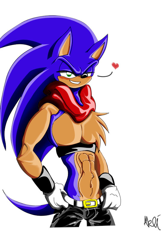 Ychan - g - sonic and (very good) friends - sonic