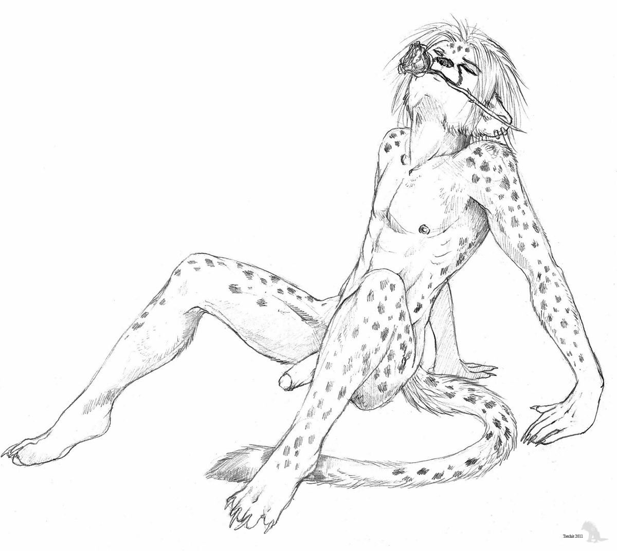 Ychan - m - cheetahs - 117672