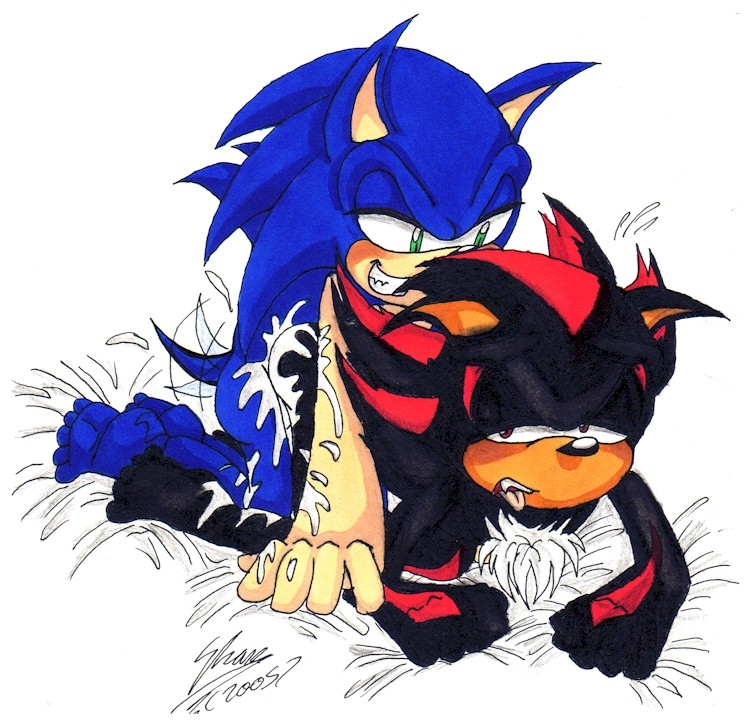 Ychan - g - sonic and (very good) friends - sonic
