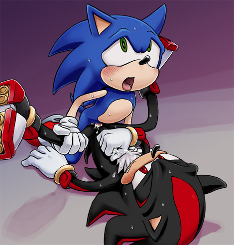 Ychan - g - sonic and (very good) friends - sonic