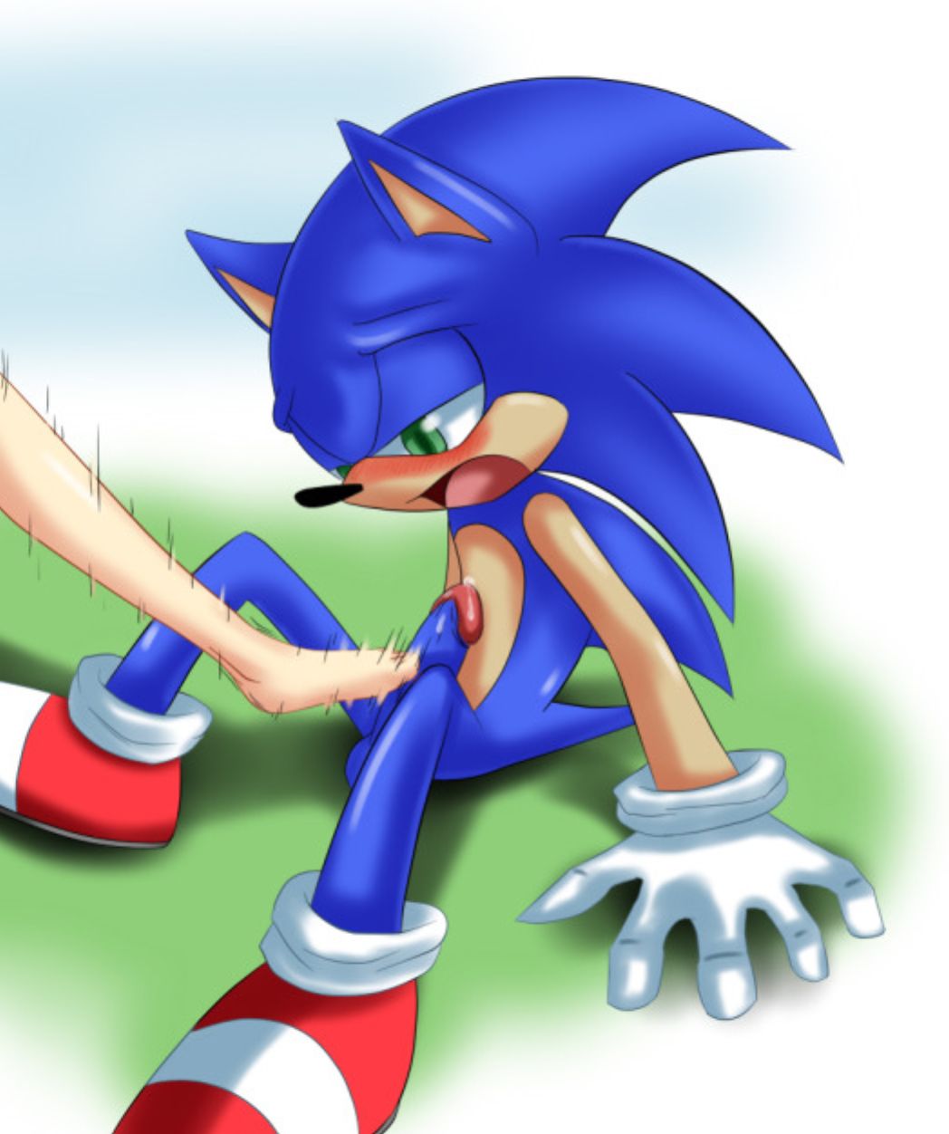 Ychan - g - sonic and (very good) friends - sonic