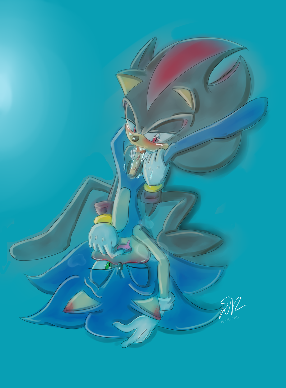 Ychan - g - sonic and (very good) friends - sonic