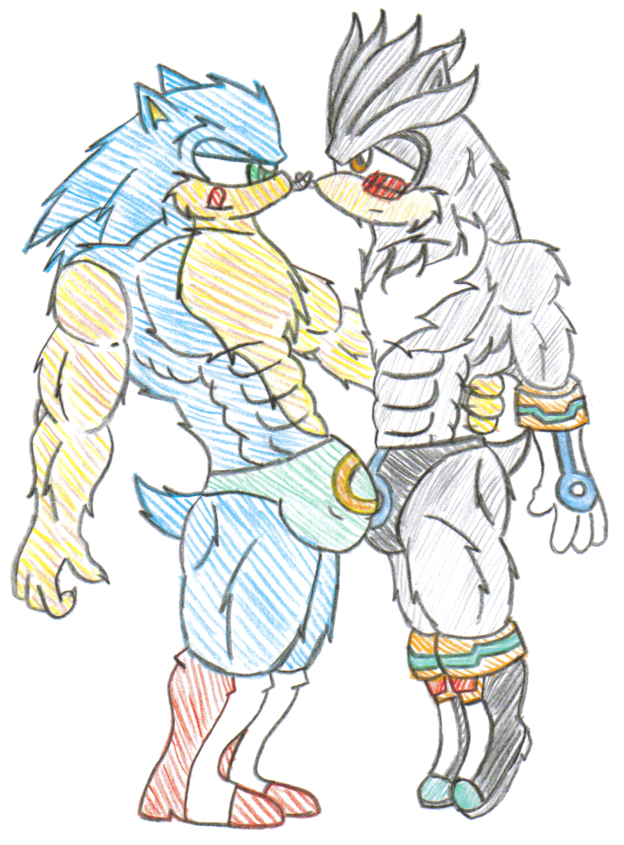 Ychan - g - sonic and (very good) friends - sonic