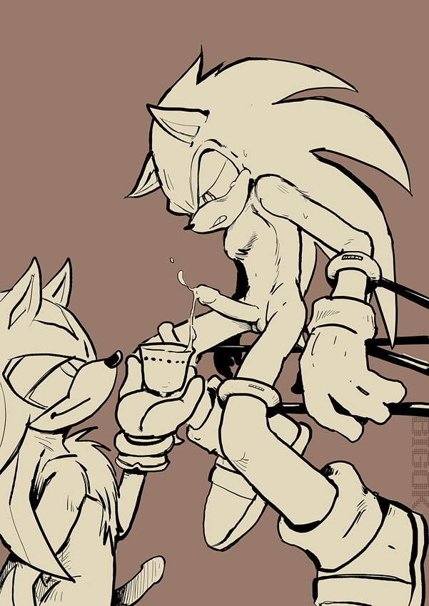 Ychan - g - sonic and (very good) friends - sonic