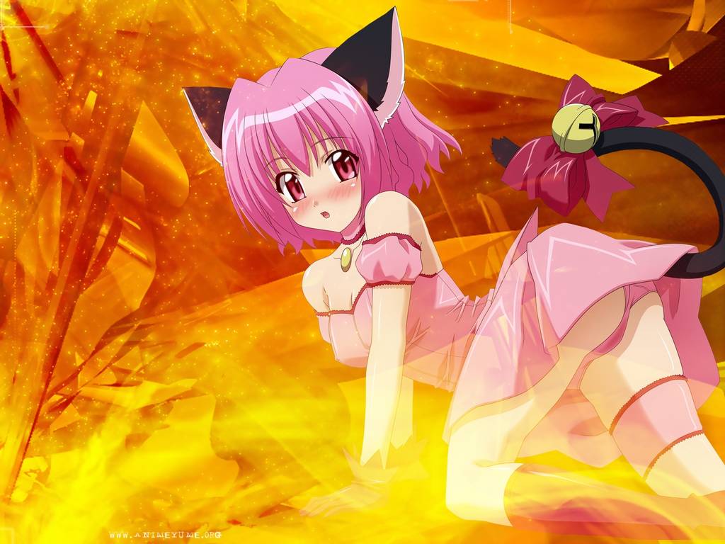 Ychan - r - tokyo mew mew - 11913