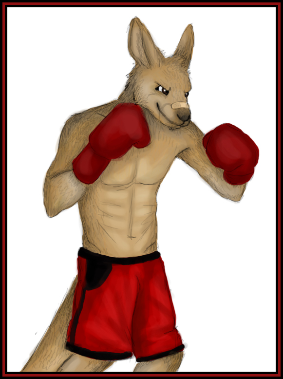 Furry boxing. Волк боксер. Фурри кенгуру. Заяц боксер. Фурри боксер.