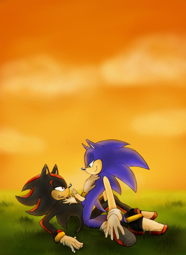 Ychan - g - sonic and (very good) friends - sonic