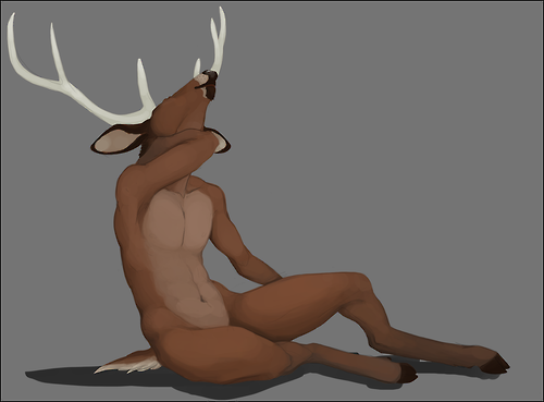 Ychan - m - bucks(male deer) - 121814