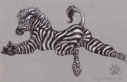 Ychan - m - zebras - 121881