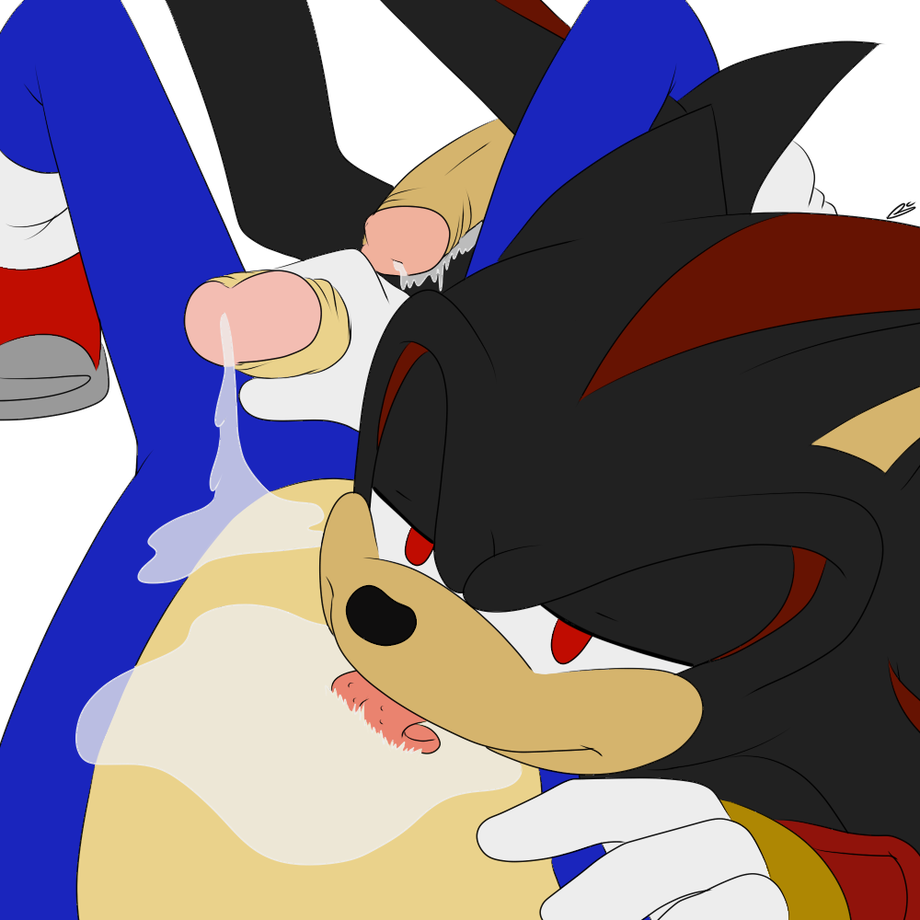 Sonic Being Fucked Sex Gif, Anal
