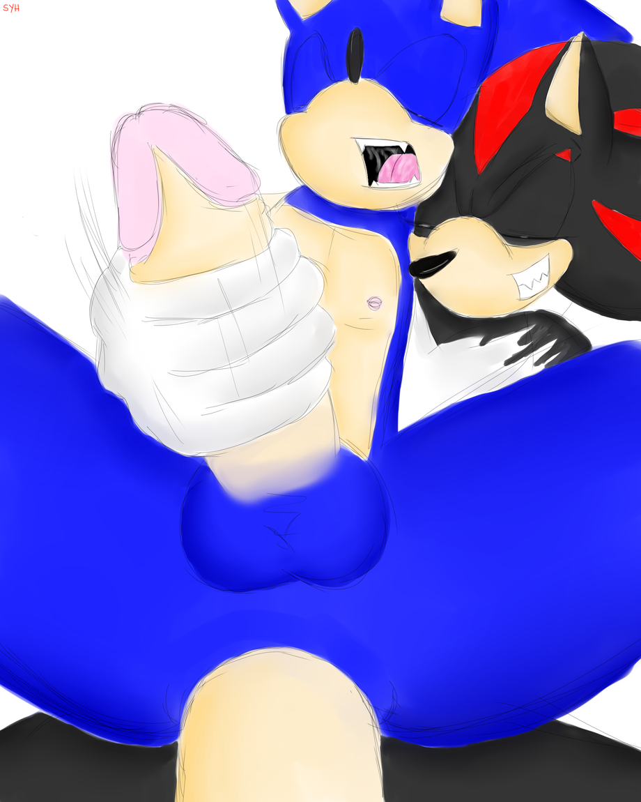 Ychan - g - sonic and (very good) friends - sonic