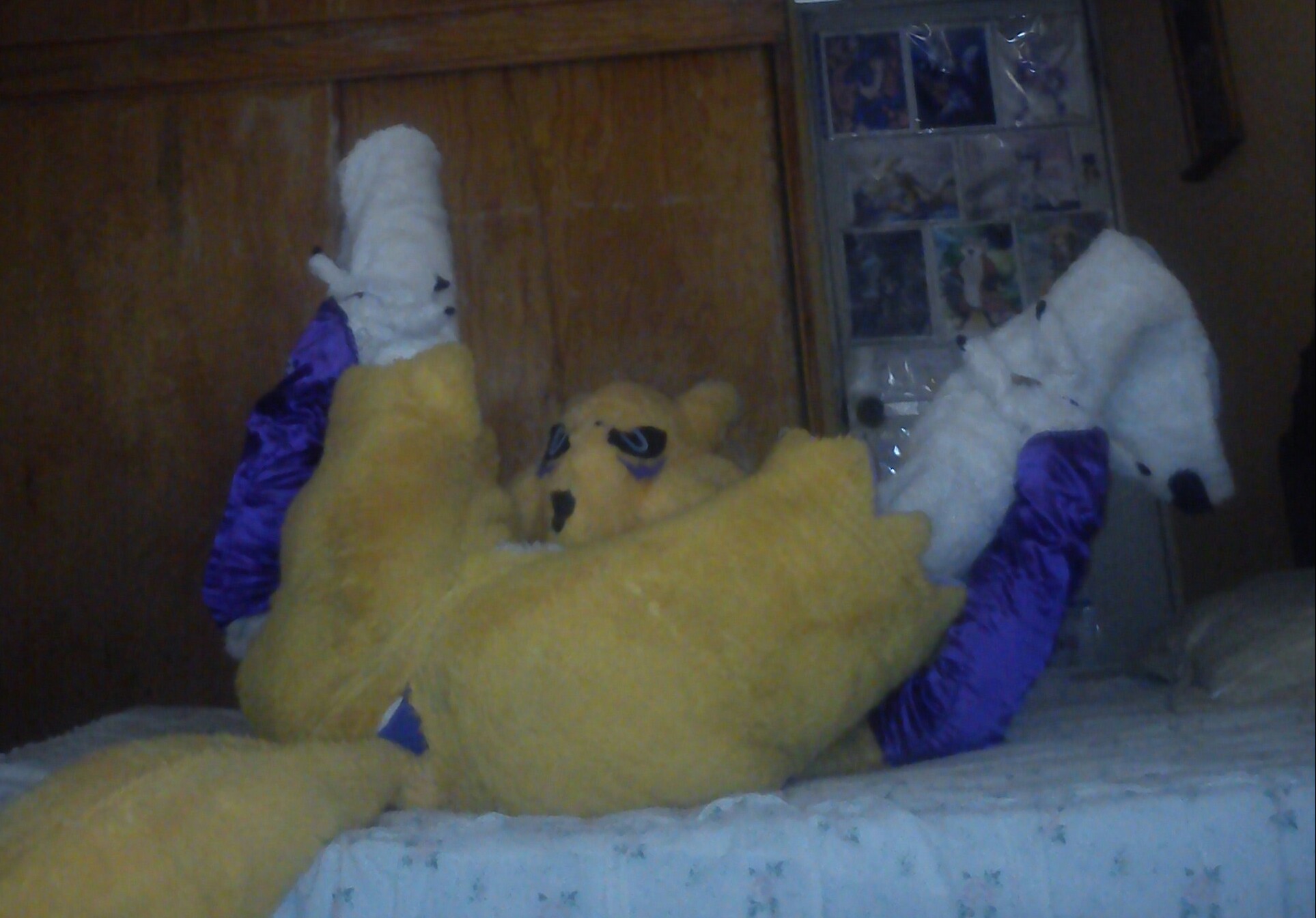 Ychan - rl - renamon yiff - renamon yiff