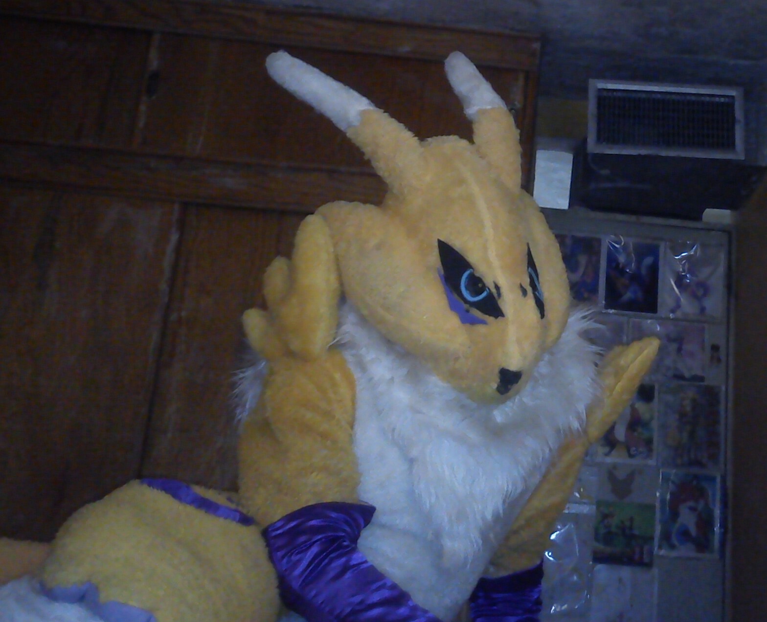 Ychan - rl - renamon yiff - renamon yiff