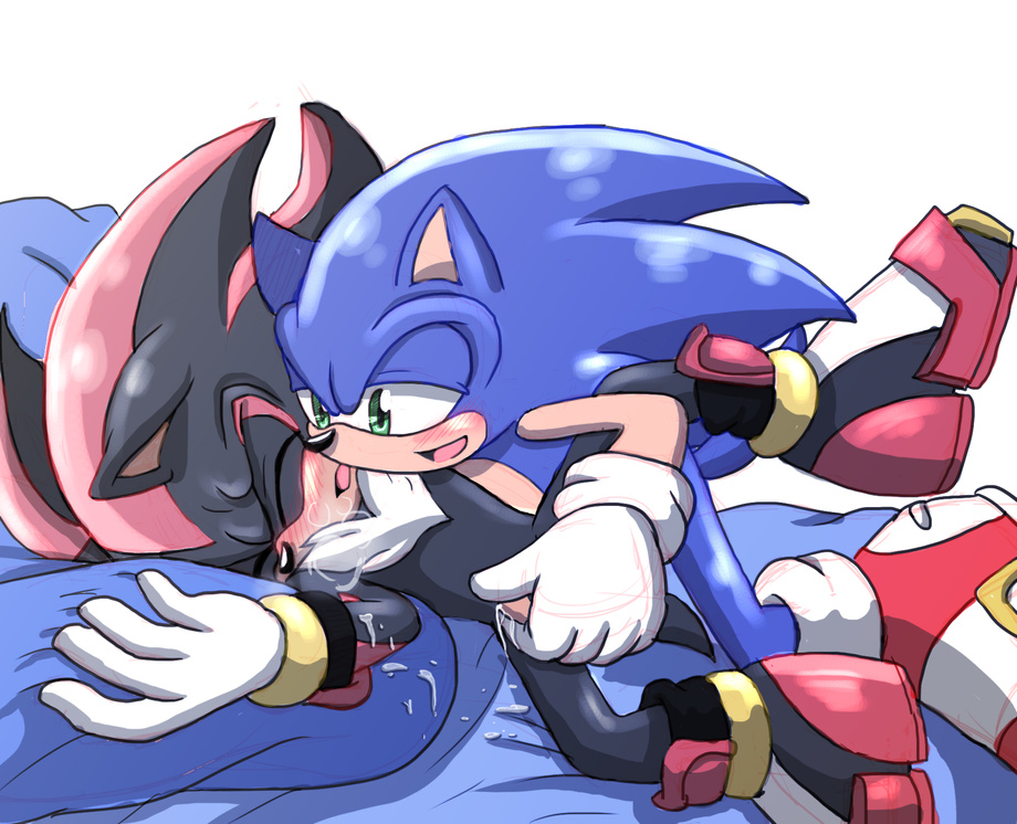 Ychan - g - sonic and (very good) friends - sonic