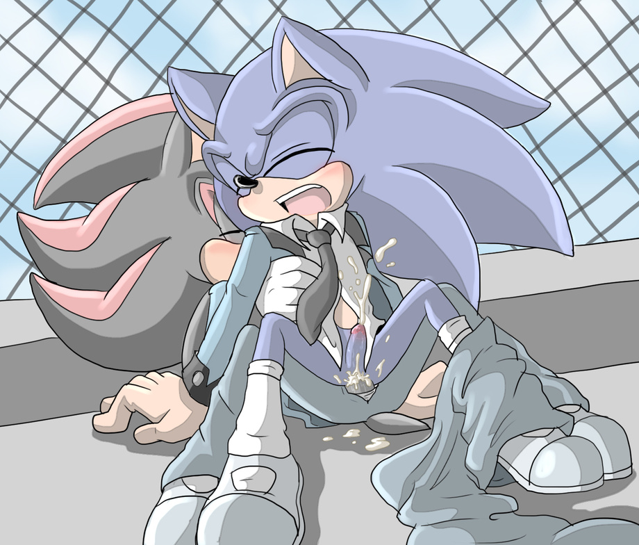 Ychan - g - sonic and (very good) friends - sonic