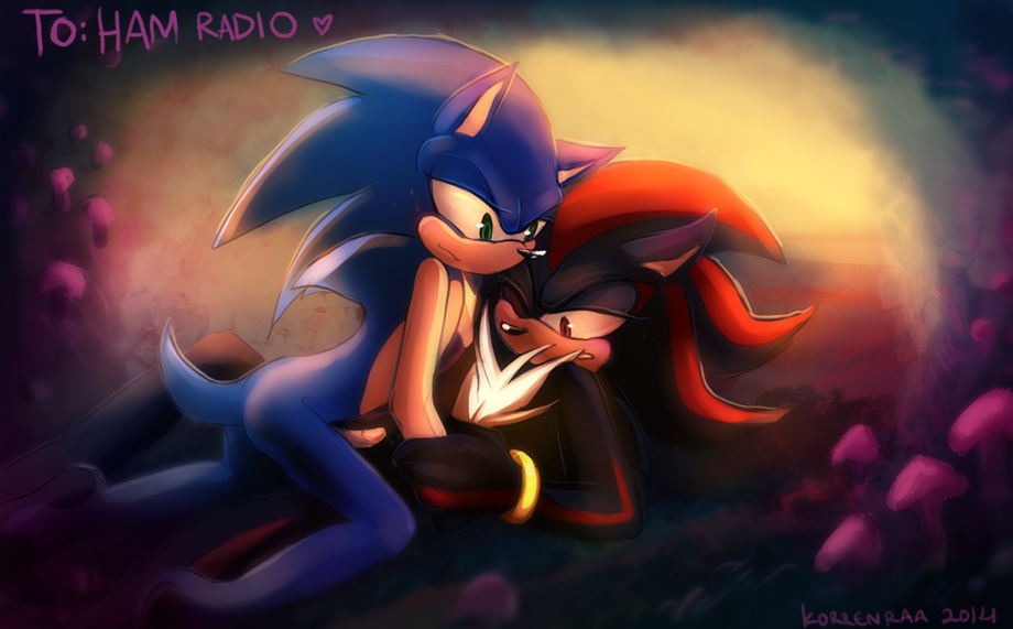 Ychan - g - sonic and (very good) friends - sonic