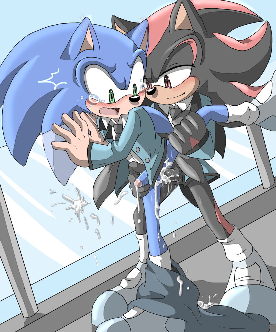 Ychan - g - sonic and (very good) friends - sonic