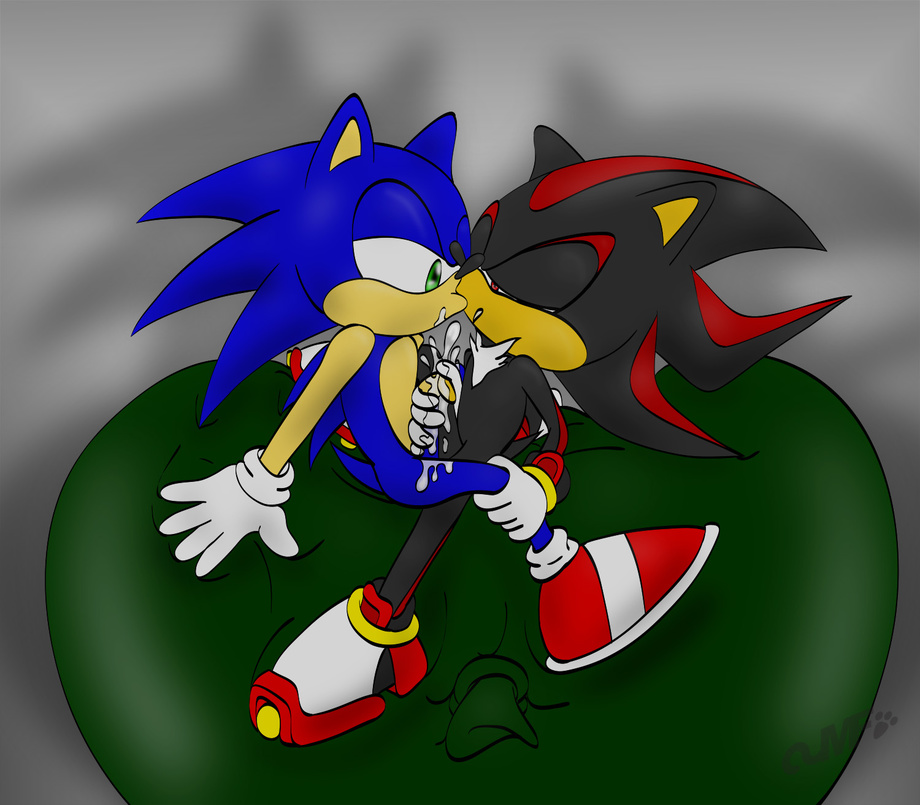 Ychan - g - sonic and (very good) friends - sonic