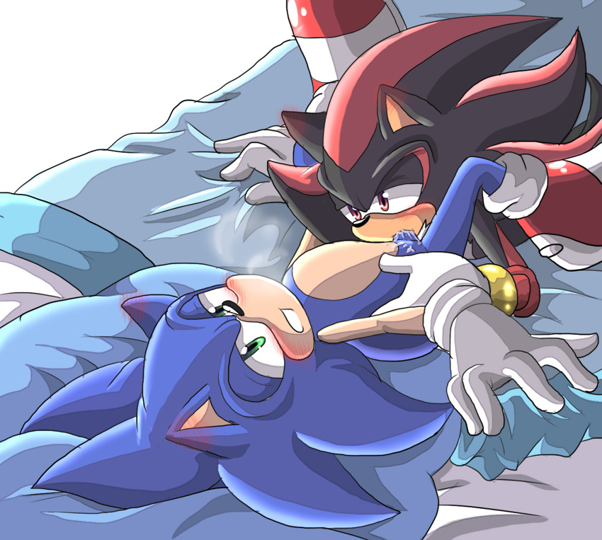 Ychan - g - sonic and (very good) friends - sonic