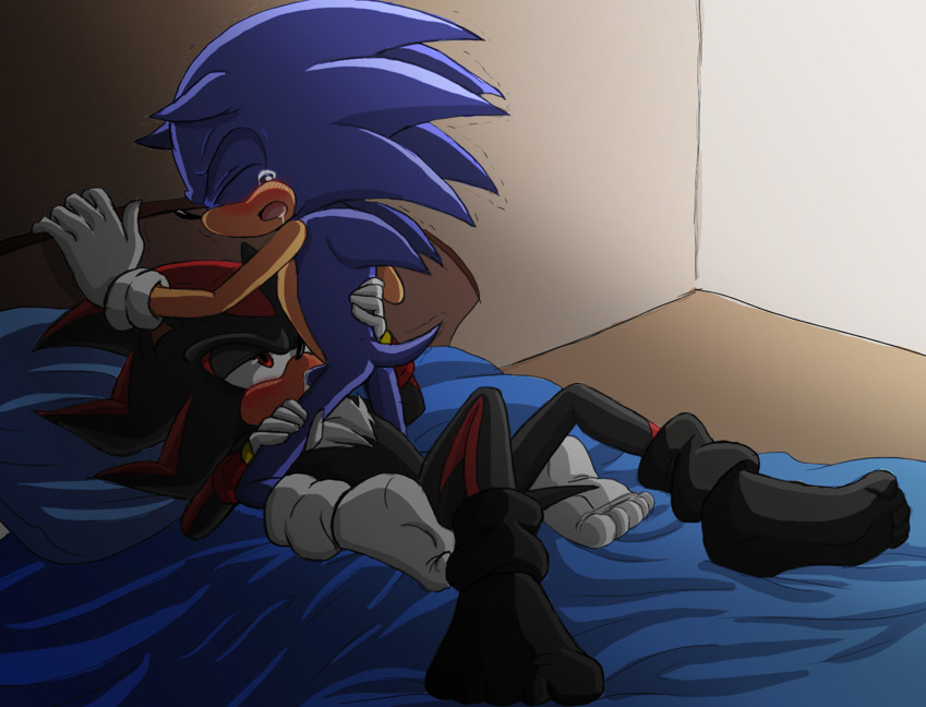 Ychan - g - sonic and (very good) friends - sonic