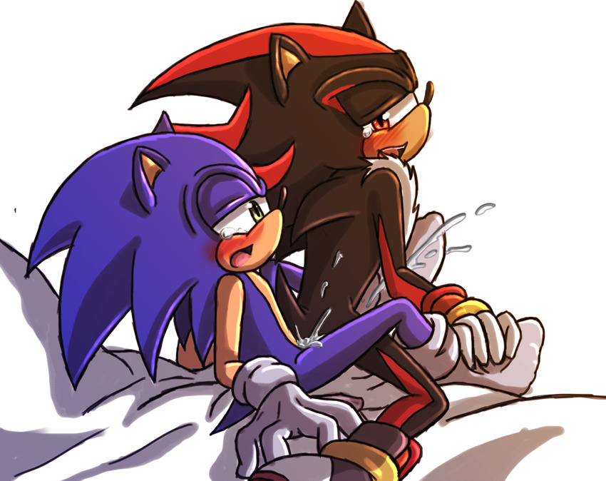 Ychan - g - sonic and (very good) friends - sonic