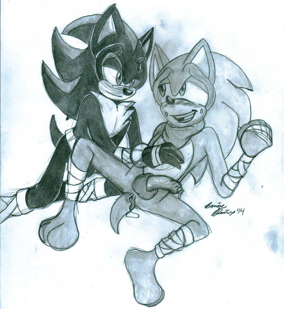 Ychan - g - sonic and (very good) friends - sonic