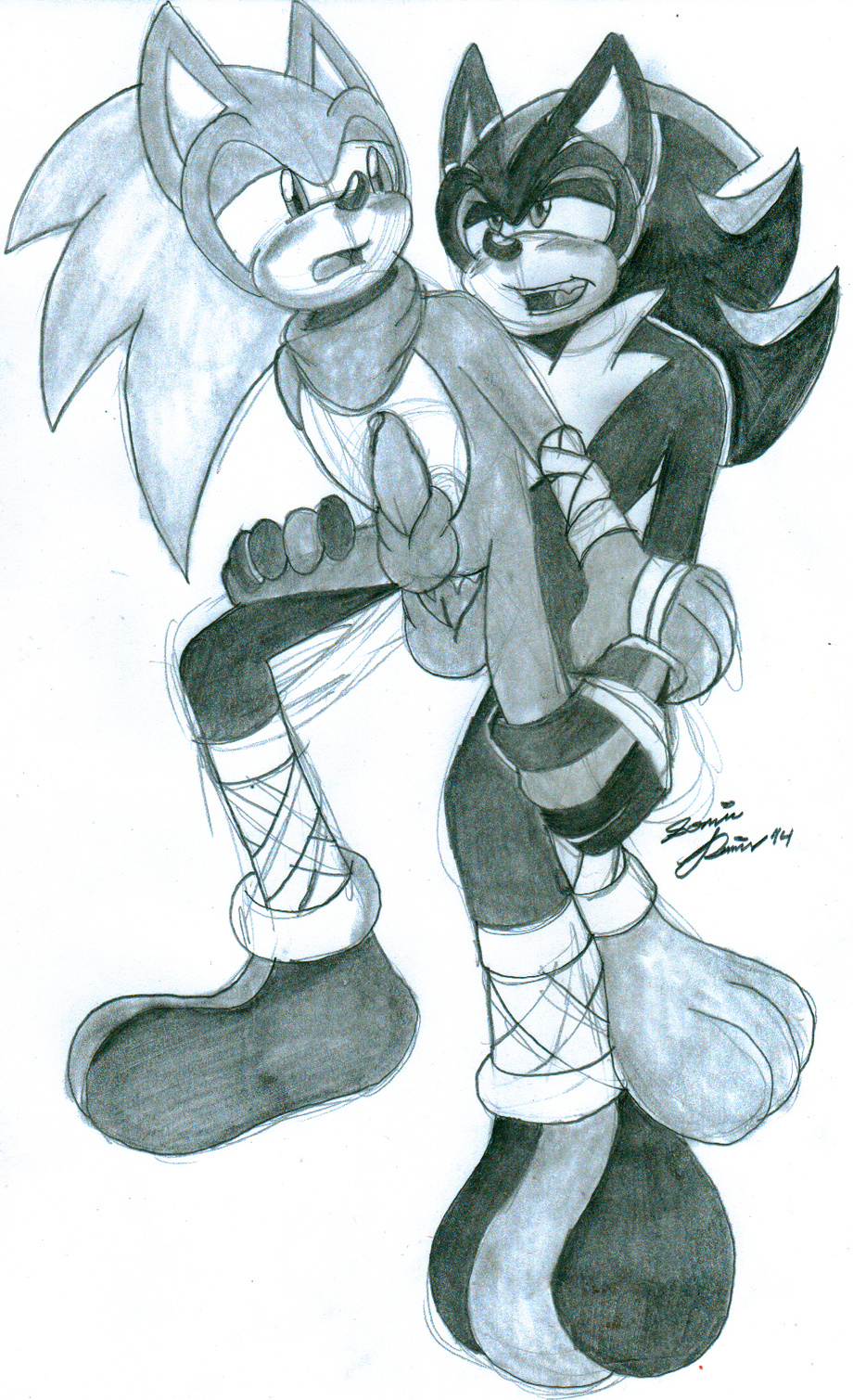 Ychan - g - sonic and (very good) friends - sonic